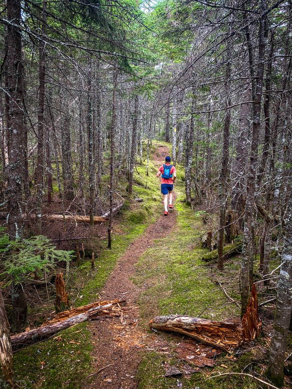 White Mountain Trail Running - Pierpone Pennoyer Runs in Evan's Notch